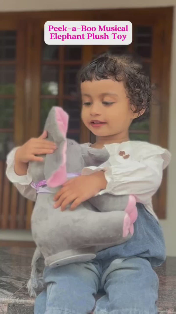 Baby Pink Peek-a-Boo Musical Elephant Plush Toy Trending Accessories