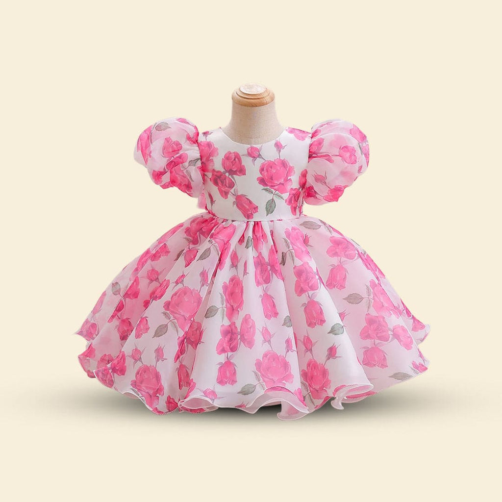 Girls Puff Sleeve Balloon Shape Printed Dress