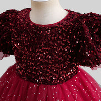 Girls Sequins Embellished Puff Sleeves Party Dress Party Dresses   