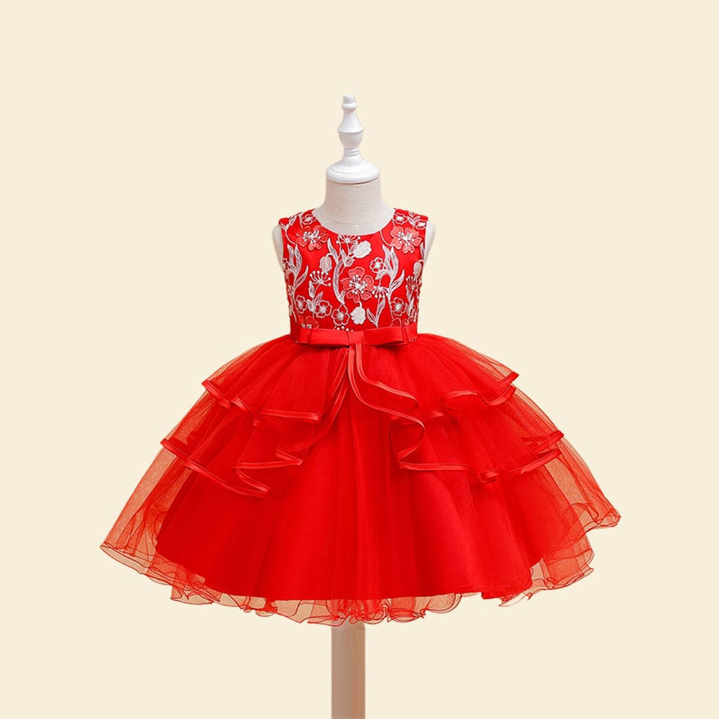 Girls Embroidered Fit & Flare Party Dress