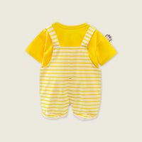 Boys Short Sleeve T-Shirts With Giraffe Applique Dungaree Sets   