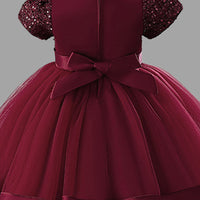 Girls Short Sleeve Sequin Bow Party Dress Party Dresses   