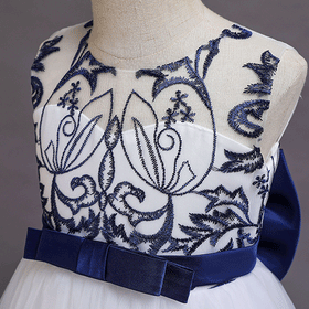 Girls Embroidered Tulle Gown Casual Dresses   