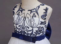 Girls Embroidered Tulle Gown Casual Dresses   