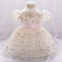 Net Embroidery Dress Casual Dresses Cream 1-2 Y 