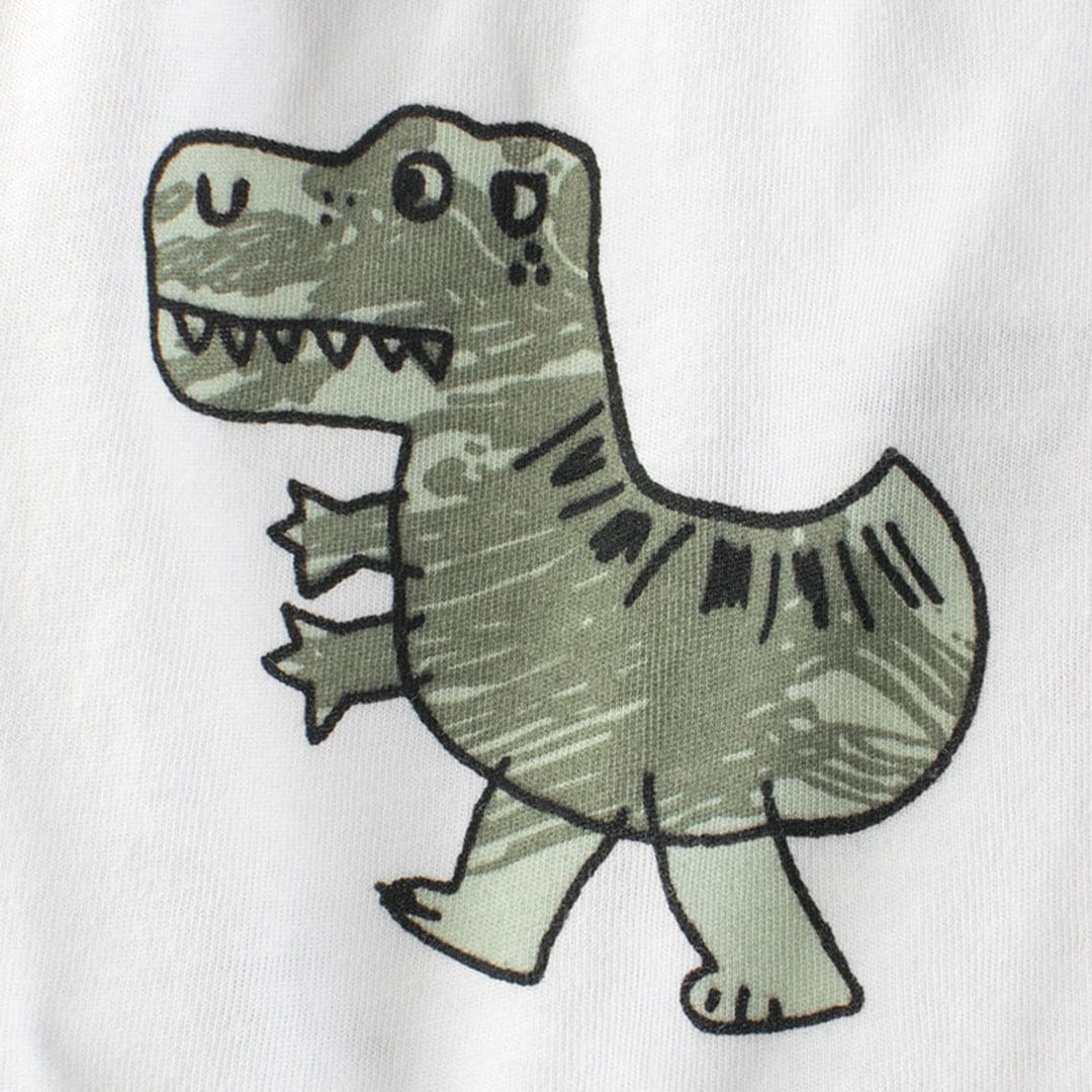 Boys Dinosaur Print Shorts Shorts   