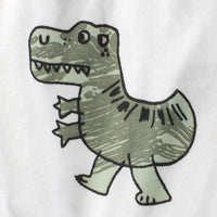 Boys Dinosaur Print Shorts Shorts   