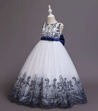 Girls Embroidered Tulle Gown Casual Dresses   