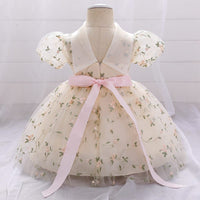 Net Embroidery Dress Casual Dresses   