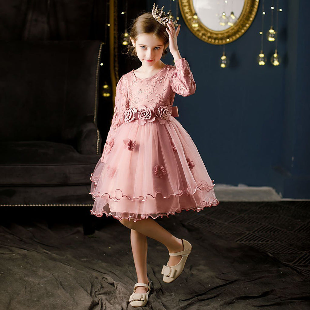 Girls Embroidered Full Sleeves Tulle Party Dress