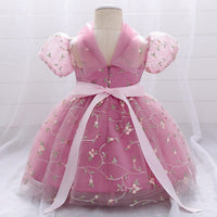 Net Embroidery Dress Casual Dresses   