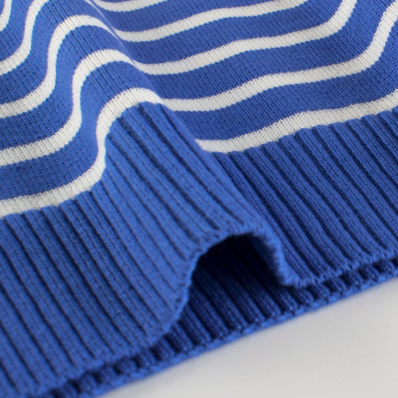 Boys Blue Long Sleeves Striped Sweatshirt Sweatshirts & Hoodies   