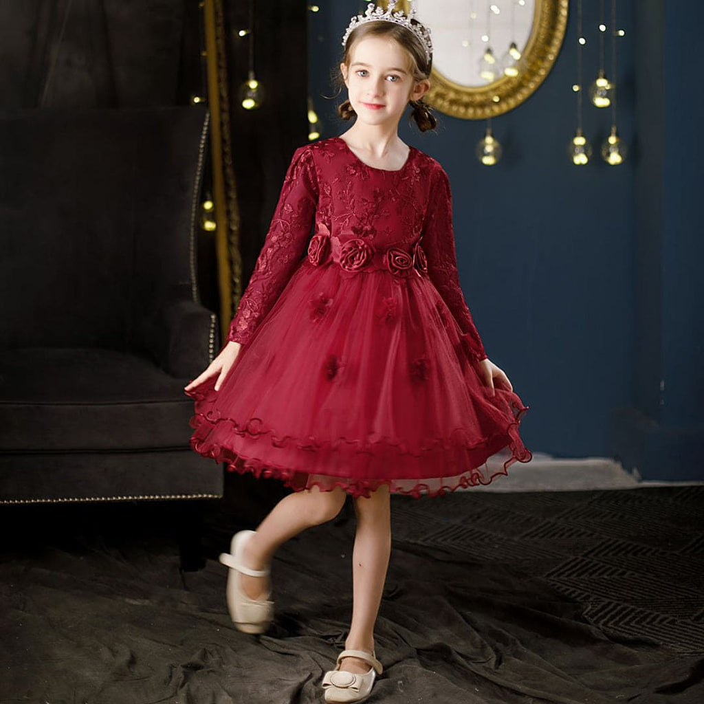 Girls Embroidered Full Sleeves Tulle Party Dress