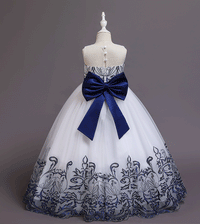 Girls Embroidered Tulle Gown Casual Dresses   