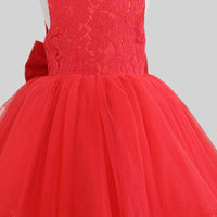 Girls Lace Embroidery Sleeveless Party Dress Party Dresses   