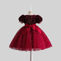 Girls Sequins Embellished Puff Sleeves Party Dress Party Dresses   