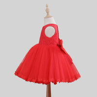 Girls Lace Embroidery Sleeveless Party Dress Party Dresses   