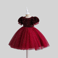 Girls Sequins Embellished Puff Sleeves Party Dress Party Dresses   